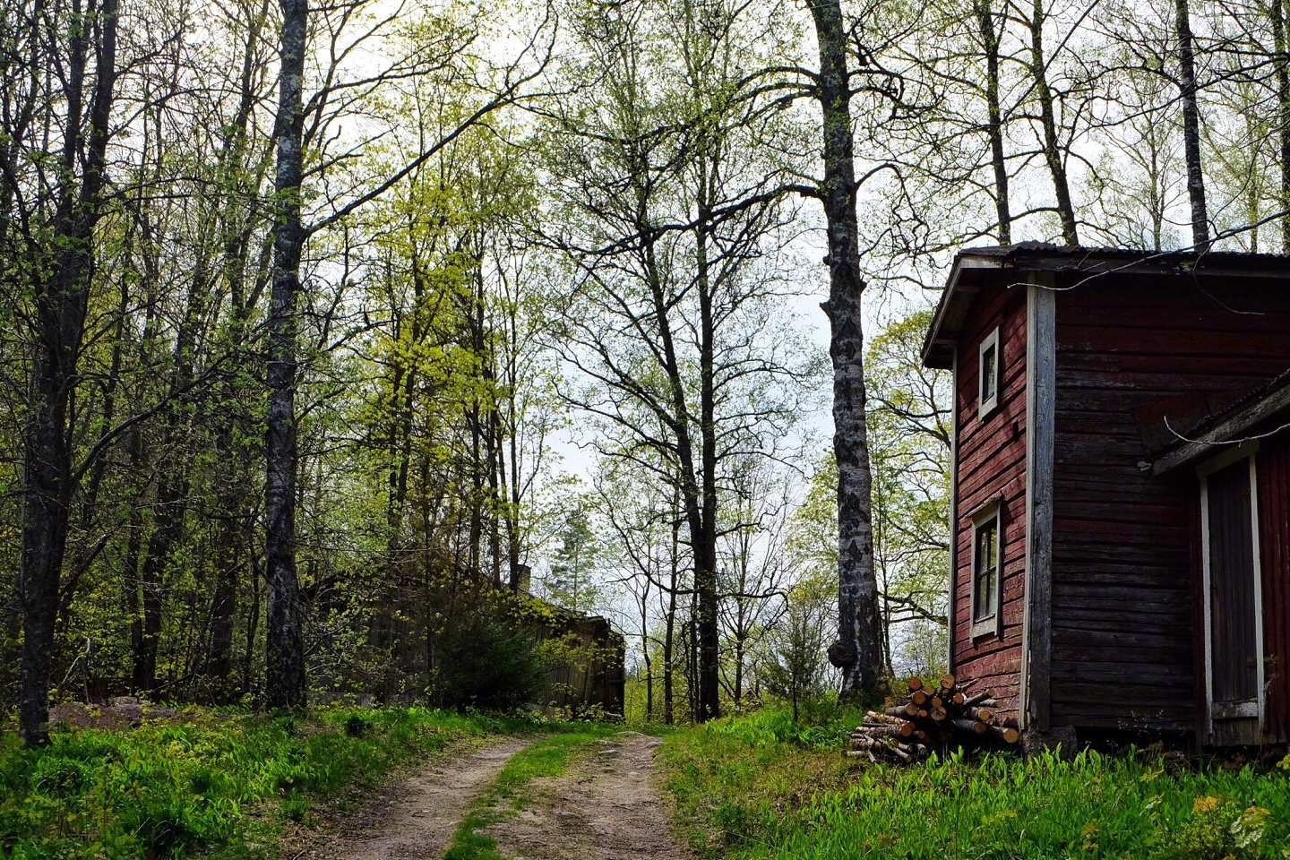 圣诞老人的故乡，芬兰500马克钞票上面缔造北欧民族史诗的大咖