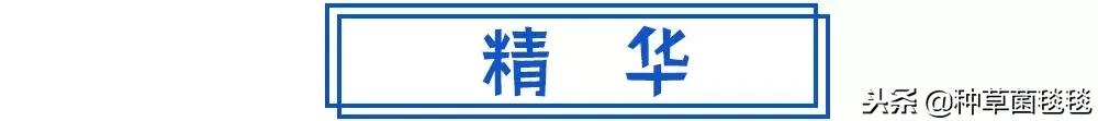 从小用到大的它,竟然成了今年爆款?