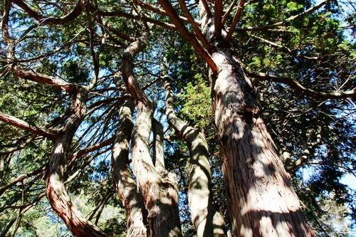 敏感肌温和氨基酸洗面奶评测,什么氨基酸洗面奶最适合敏感肌肤