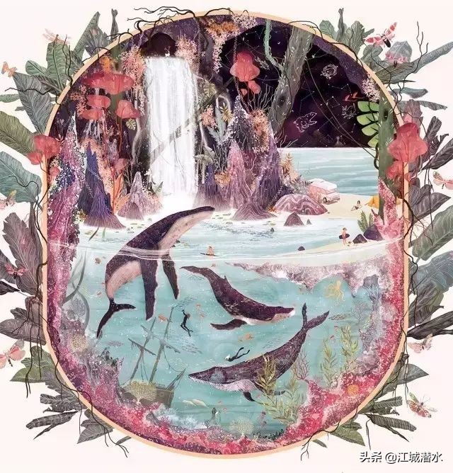 爱上潜水的理由,水肺潜水为什么不会炸肺