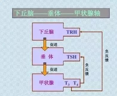 甲癌术后关于碘131治疗的两个误解,甲状腺癌碘131什么时间做好