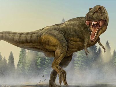 粘土恐龙霸王龙,恐龙视频霸王龙