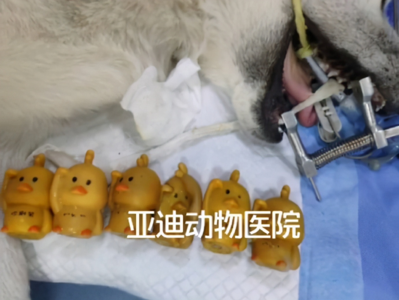 广东朋友发的，心酸中带着一丝好笑|冷段子1823