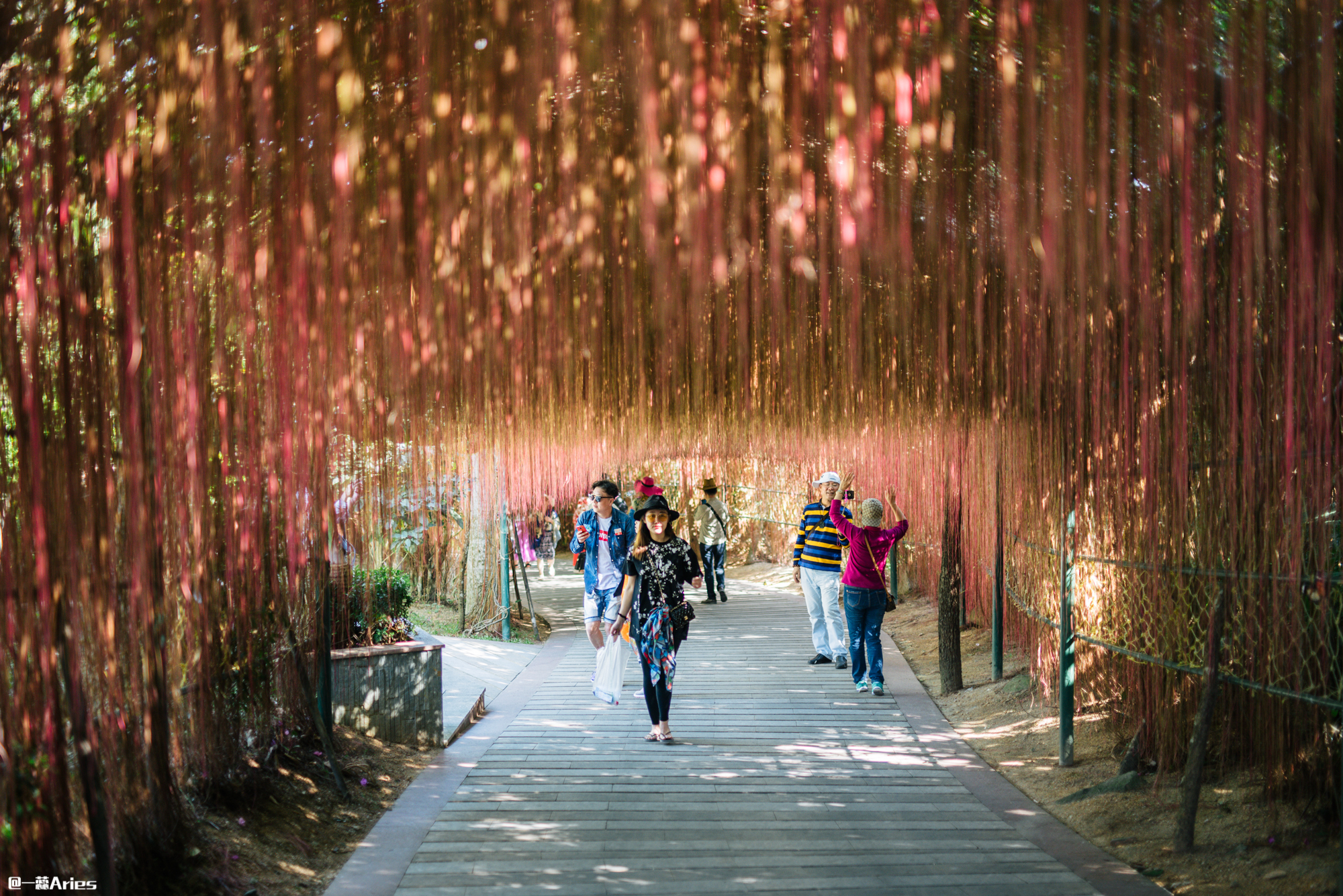 三亚解封了可以去三亚旅游吗,三亚旅游什么时候可以恢复