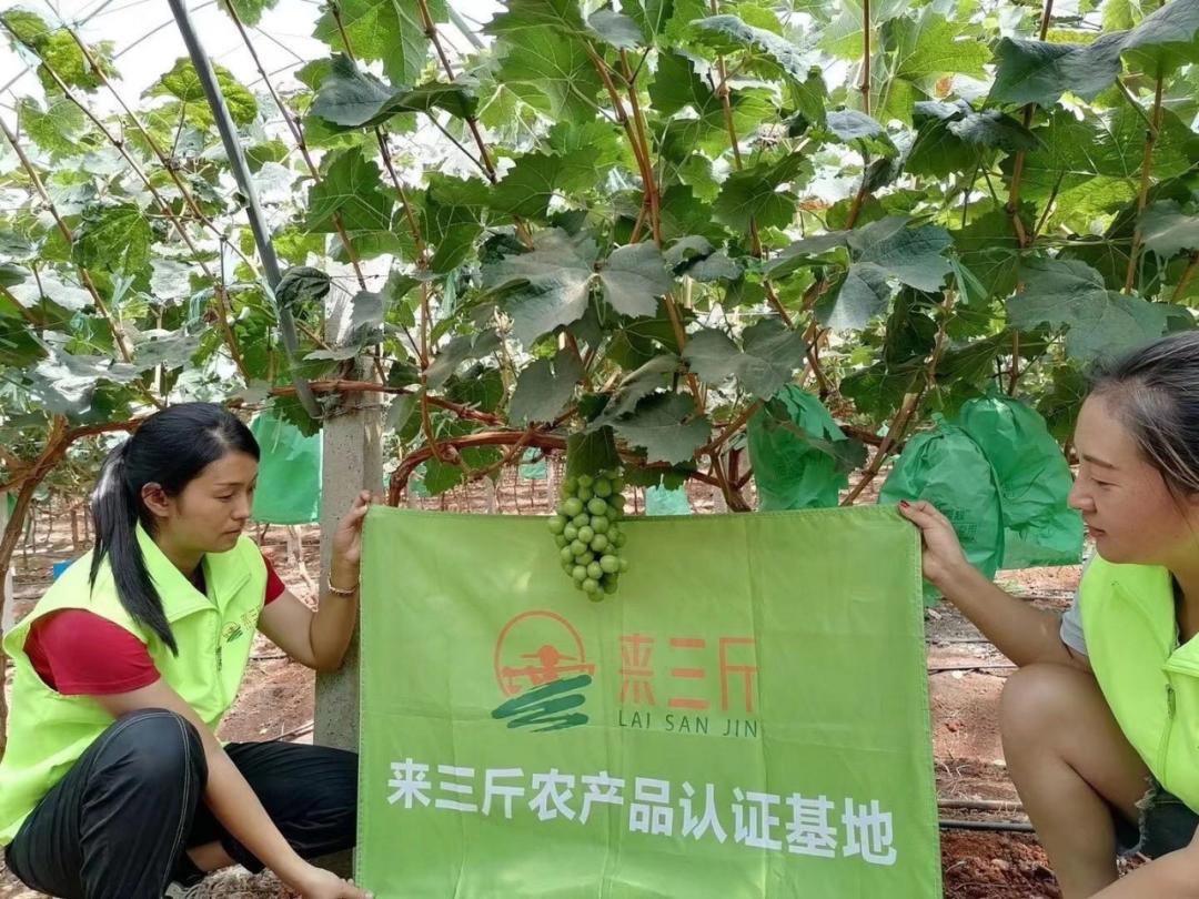黄山三斤老板陈坤祥,来三斤创始人陈坤祥