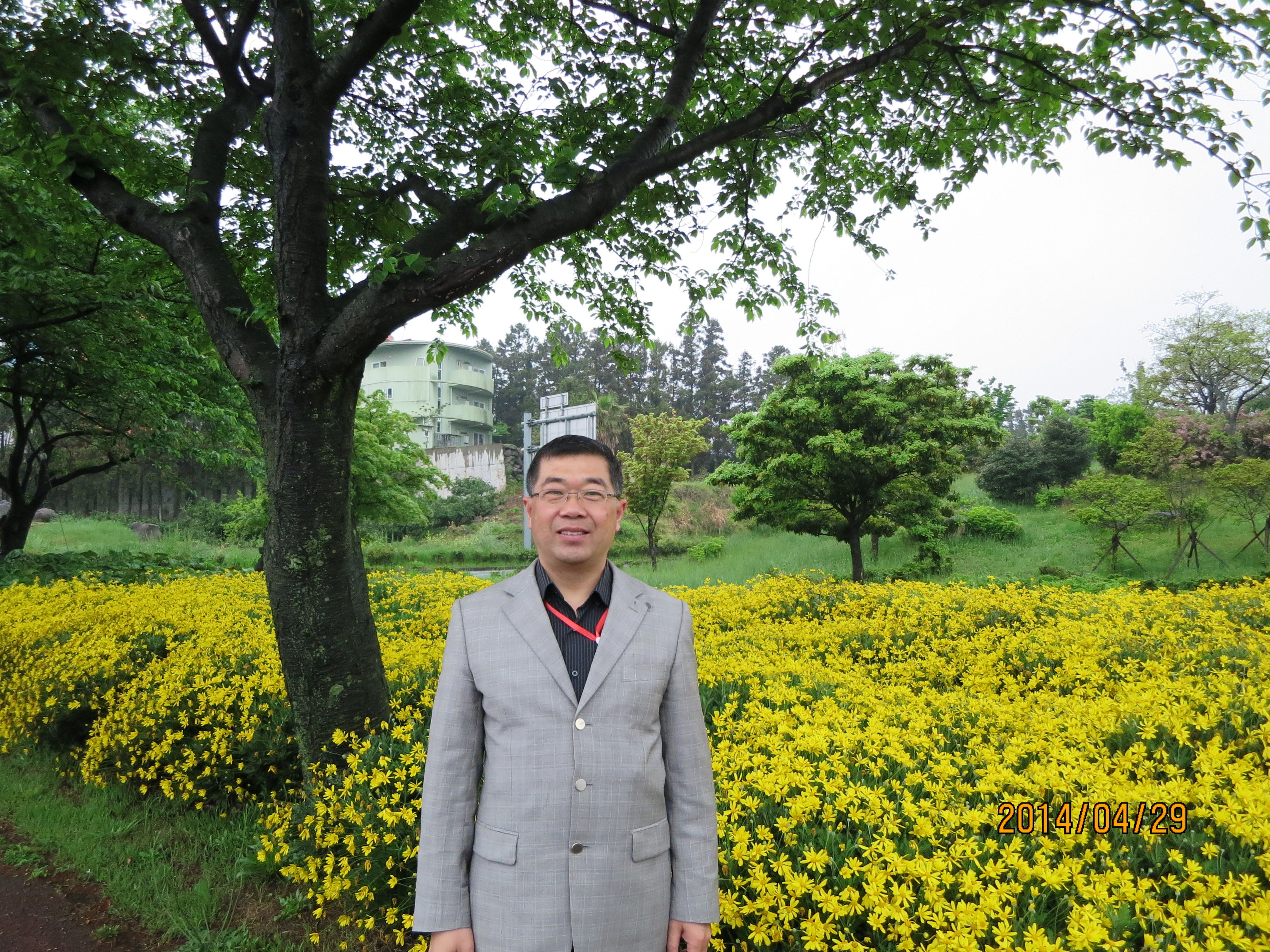 山岗上的索玛花故事简介,山岗上的索玛花主要内容