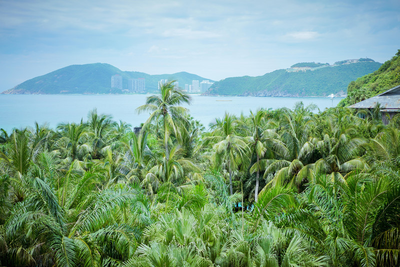 三亚蜜月游推荐,适合情侣去三亚的攻略