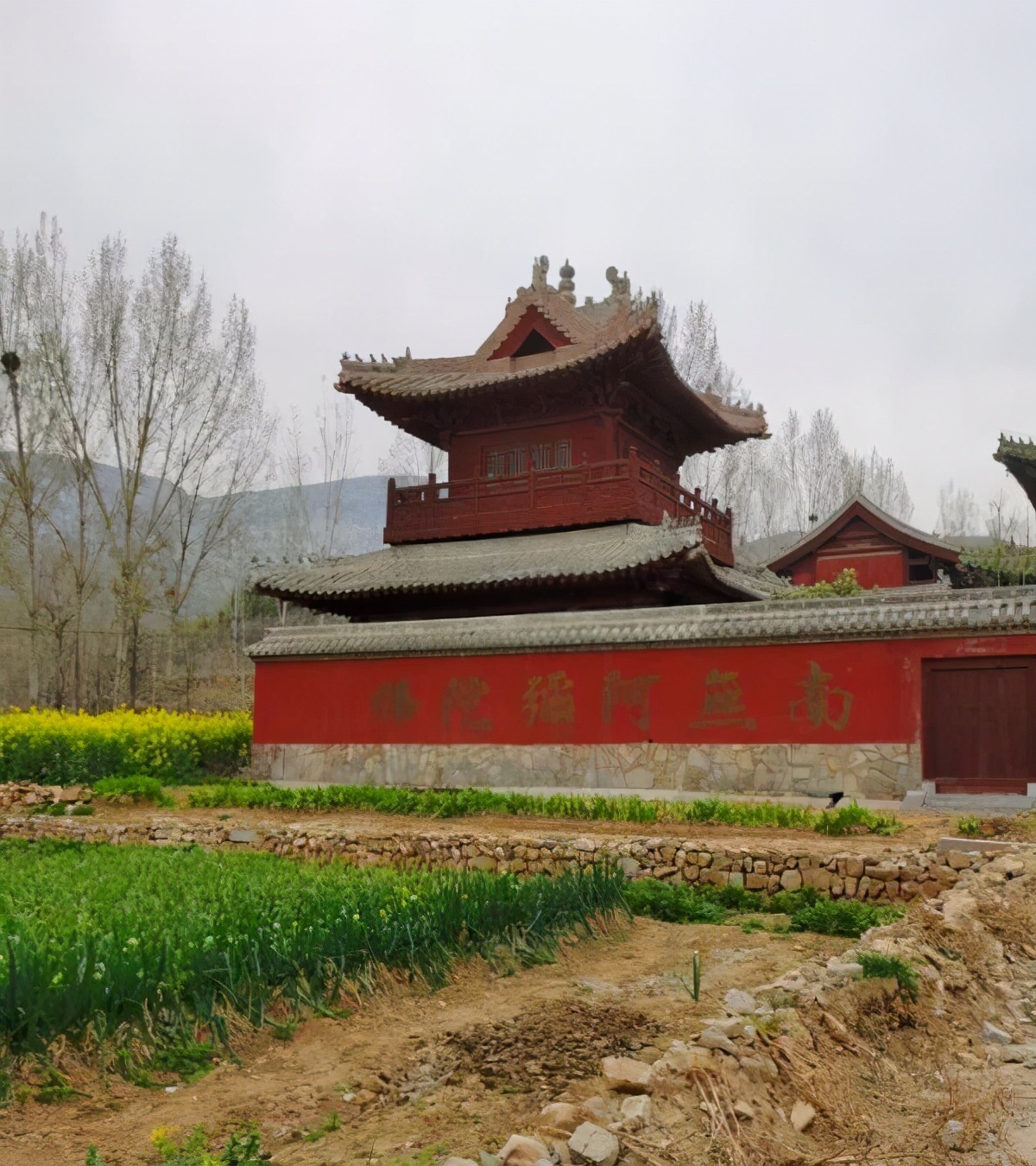 潇洒的奶奶是怎么来的,洒脱的老奶奶舞蹈视频