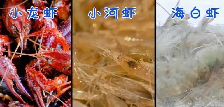 常见虾类口感特点附烹饪做法,虾怎么挑选有营养