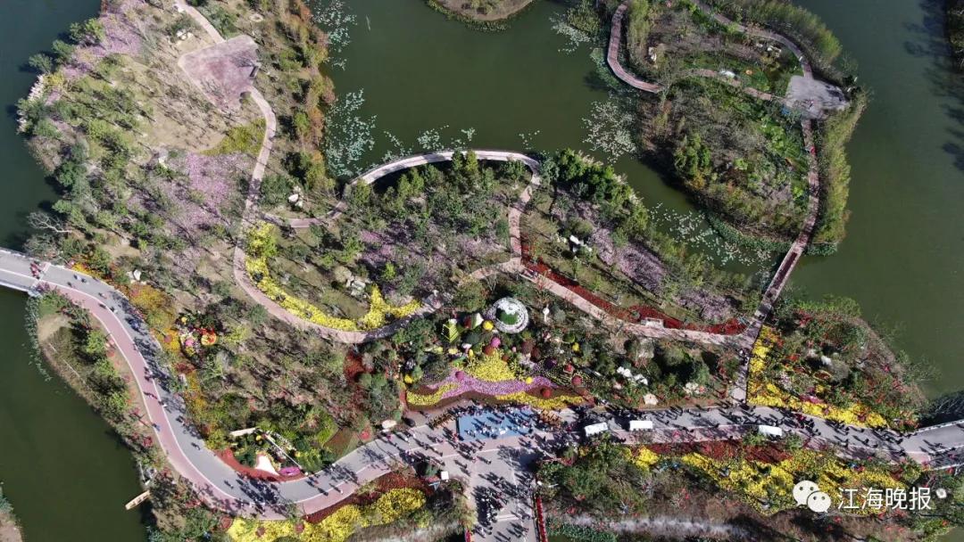 南通这些“网红”步道,你去过吗?