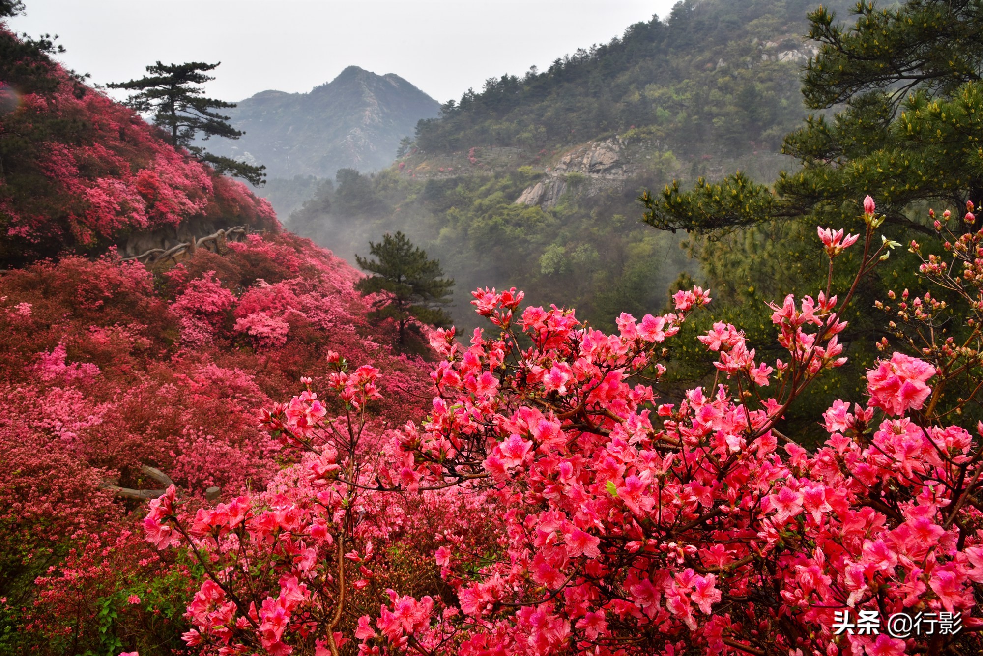 武汉云雾山风景区有什么好玩的,武汉云雾山游玩攻略