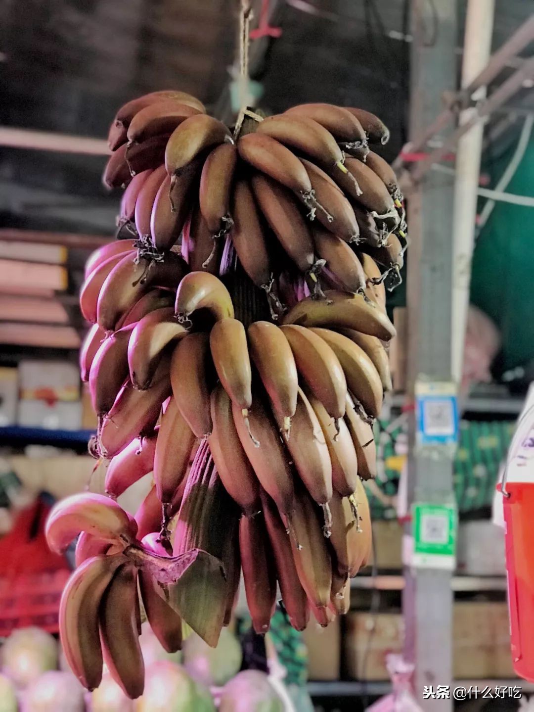 广州海鲜天堂介绍,广州黄沙有哪些海鲜