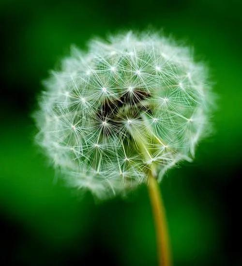 为什么定的目标总是失败,如何确定自己前进的目标