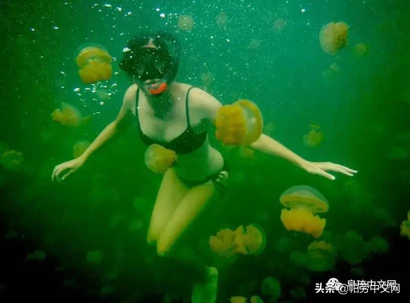 甯曞姵姘存瘝婀栫殑姘存瘝鍙互鎽稿悧,甯曞姵姘存瘝杩樿兘鎶撳悧