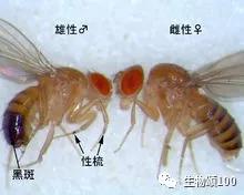 学科教学生物真题,生物教学中各种模型