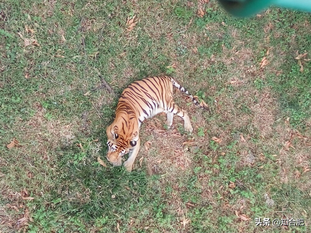 合肥国庆假期去哪玩三日游,国庆安徽三日游