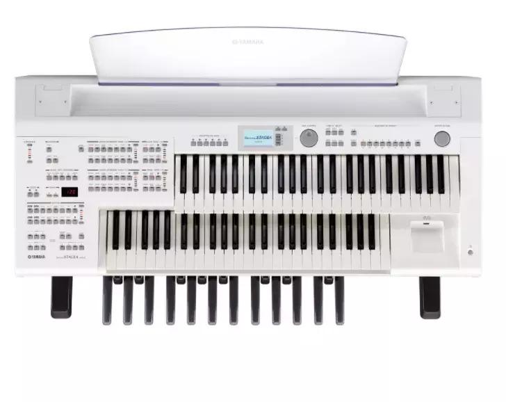 成年人学双排键电子琴,成年人学双排键难吗