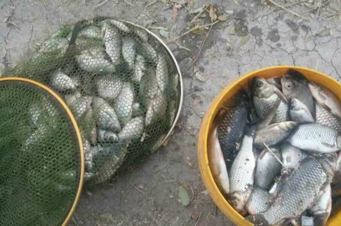 手竿铅坠在下的钓法,野钓流水看竿稍如何放铅坠