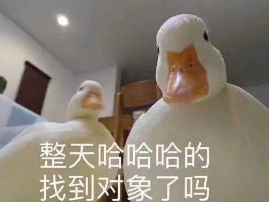 单身都是有原因的表情包,自曝单身求安排表情包