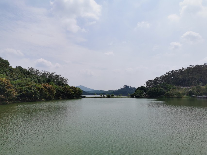 东莞长安周边一日游景点大全,东莞松山湖一日游最佳攻略