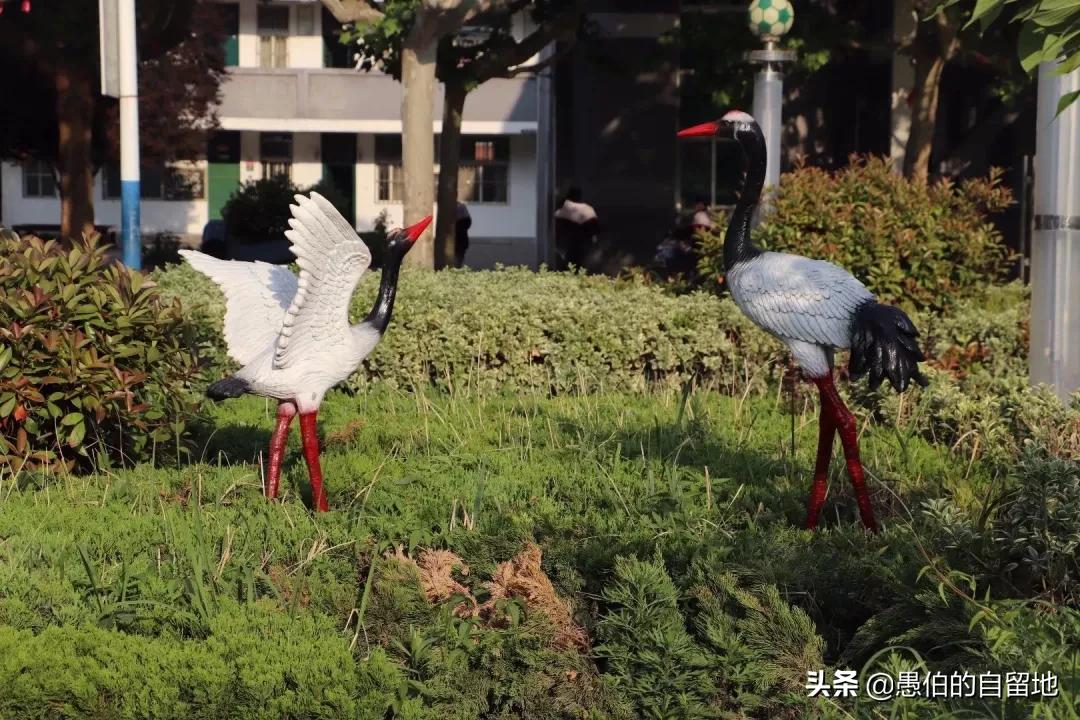 丰县欢口镇育英中学四季照片,丰县欢口育英中学