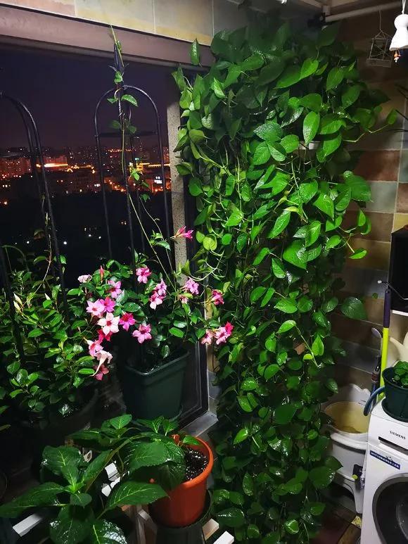 甲醛潜伏于室内多高的位置,甲醛吸入20天会怎么样