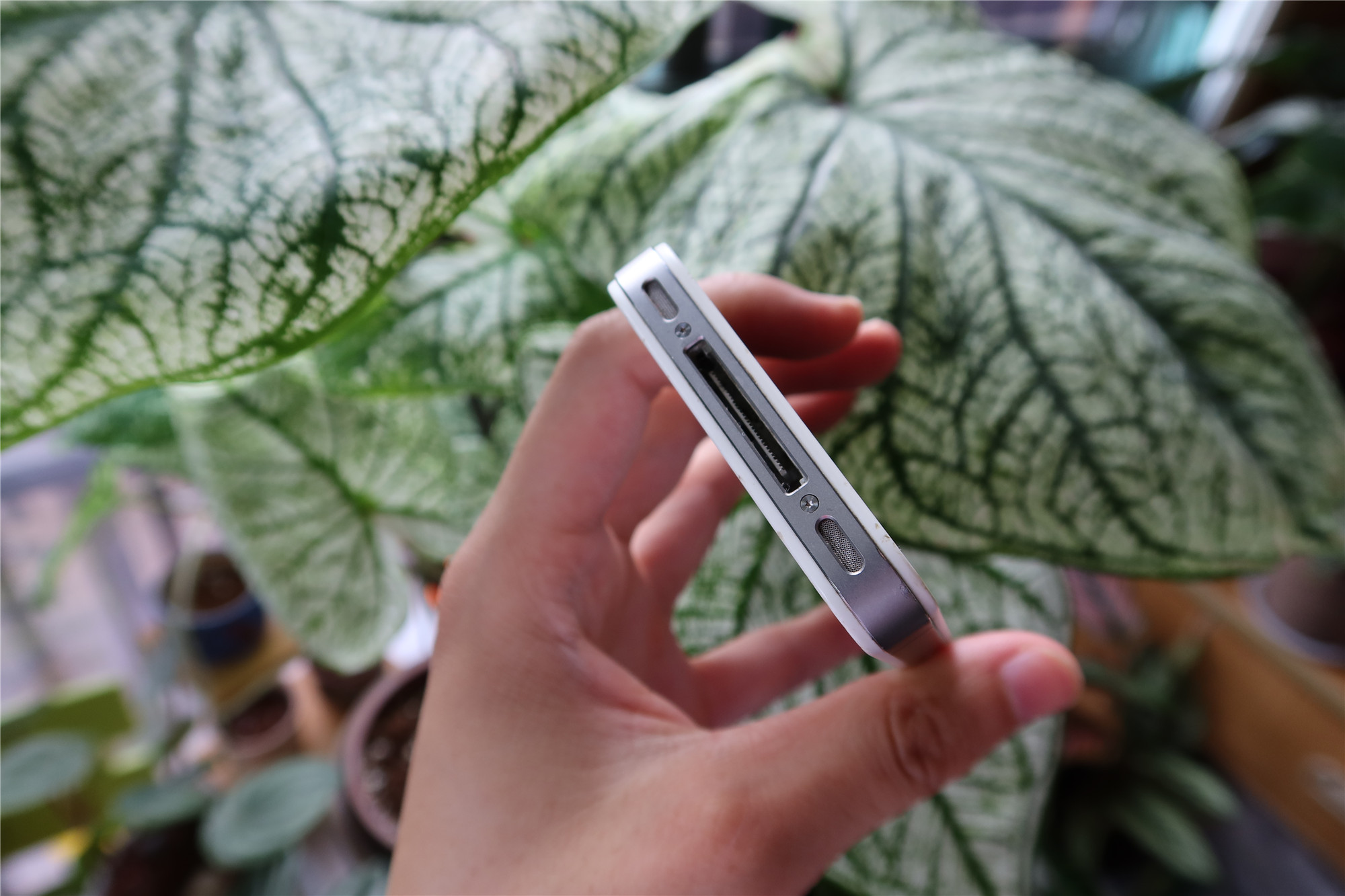 iphone4当年发布有多惊艳,iphone12是为了纪念iphone4吗