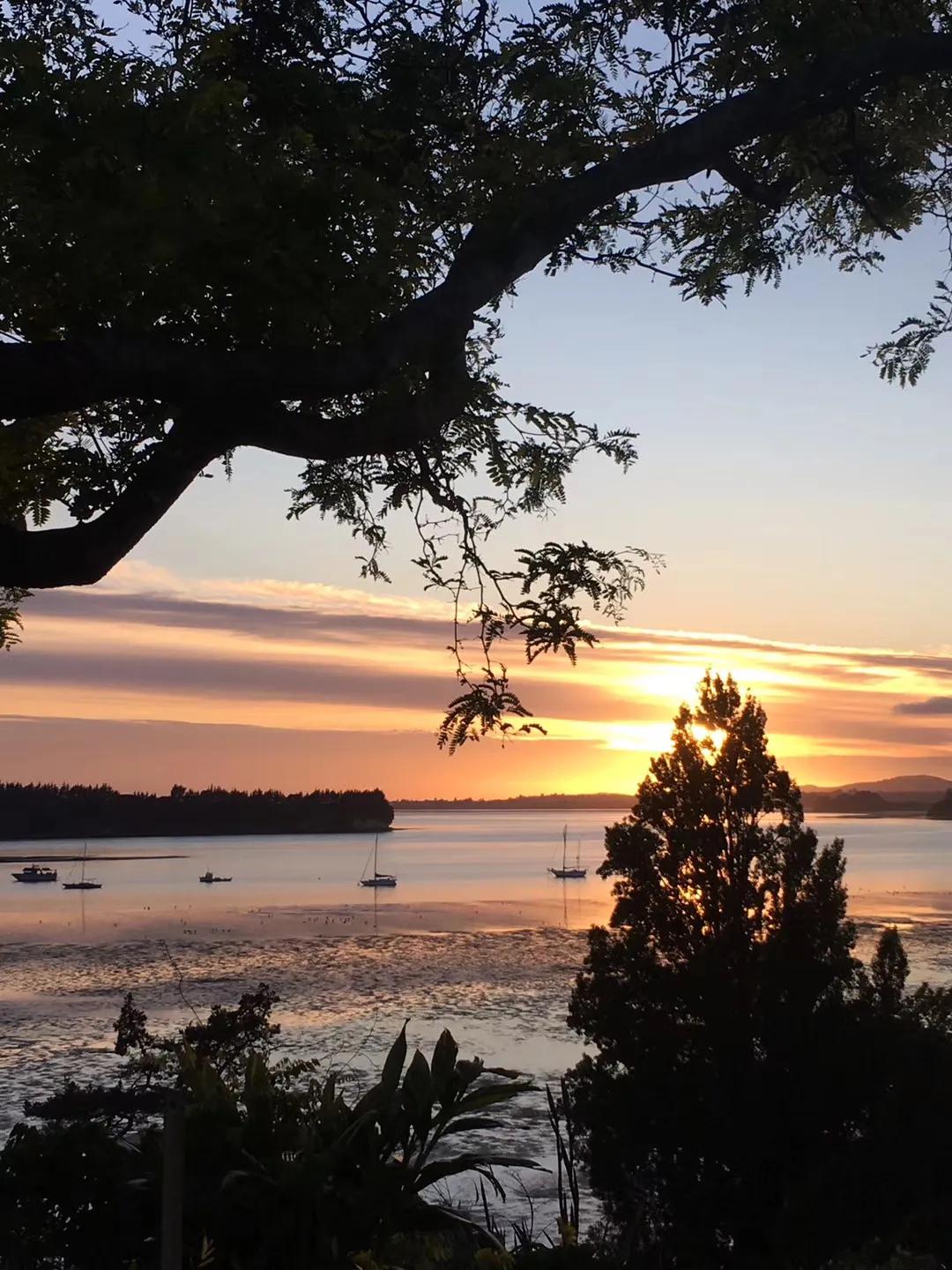 记忆中的旅行之新西兰(北岛)