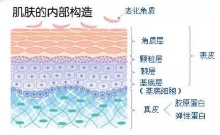 别再被偏方骗了,别再被小窍门忽悠了
