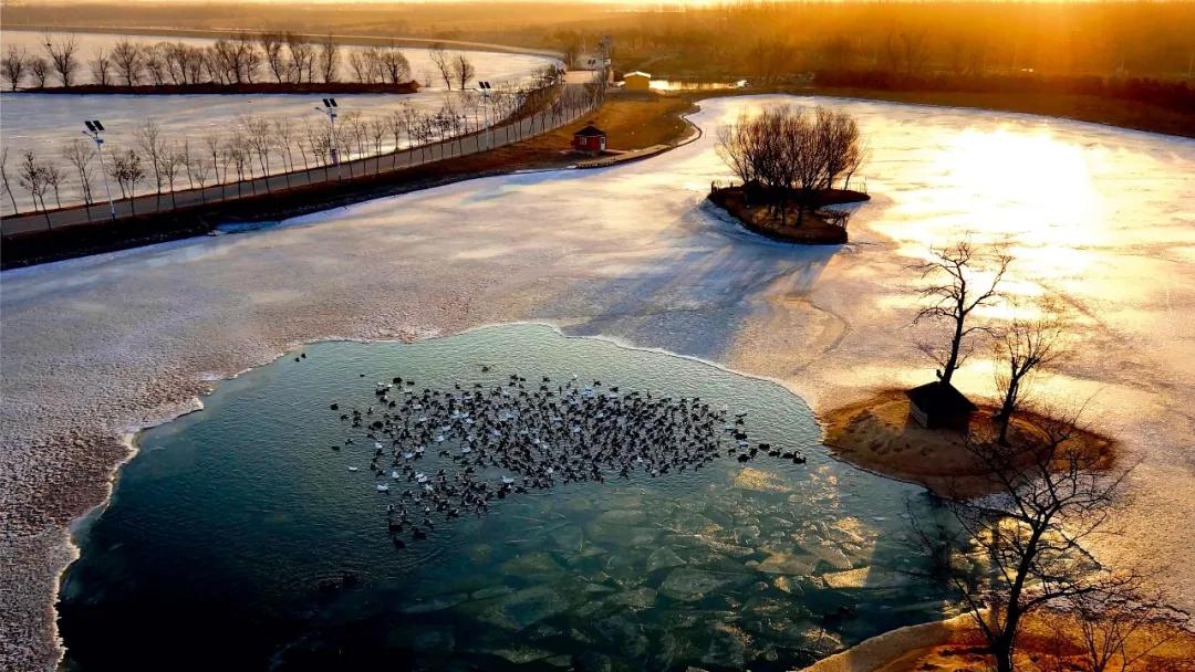 矿坑改造最美公园,矿坑改造湿地公园视频