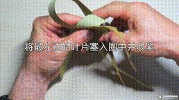 剩下的粽叶怎么做,剩下的粽叶如何收藏