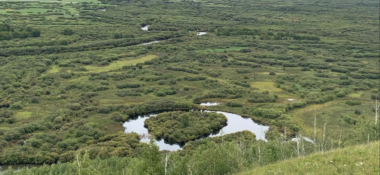 盛夏之旅美丽呼伦贝尔 (呼伦贝尔金秋之旅)