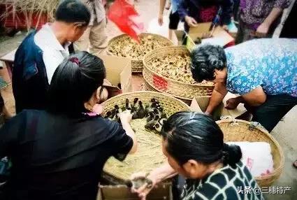 三穗县城几号赶场 (三穗赶场视频完整版)