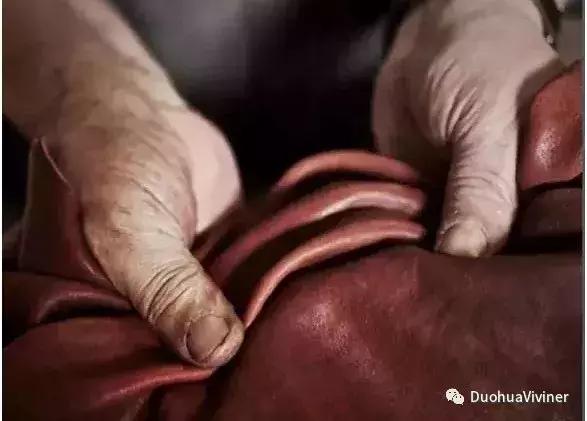 涓夋枃楸肩毊鐨瀷,涓夋枃楸肩毊鍋氶瀷