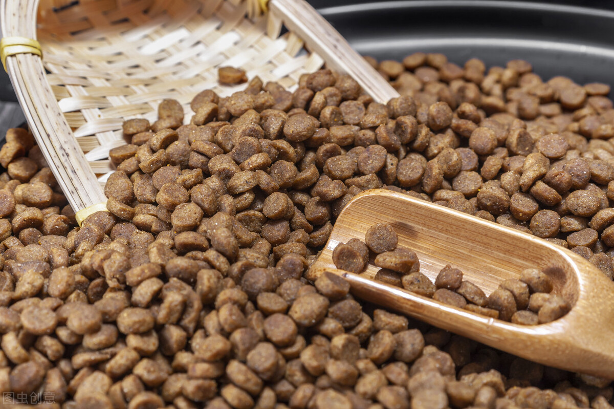 狗狗拉稀呕吐食欲不好但是精神好,狗狗吐了没有食欲怎么办