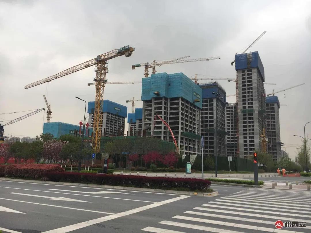 小火慢炖是煮茶的吗,小火慢炖营养价值高吗