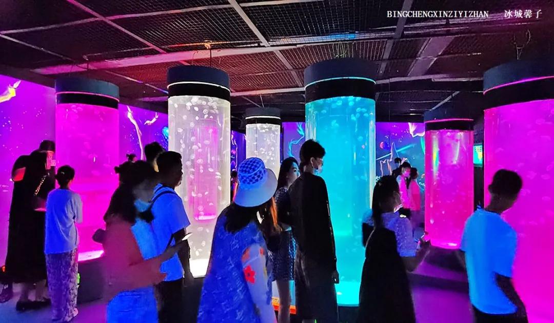 走进哈尔滨完整视频,走进哈尔滨海洋馆