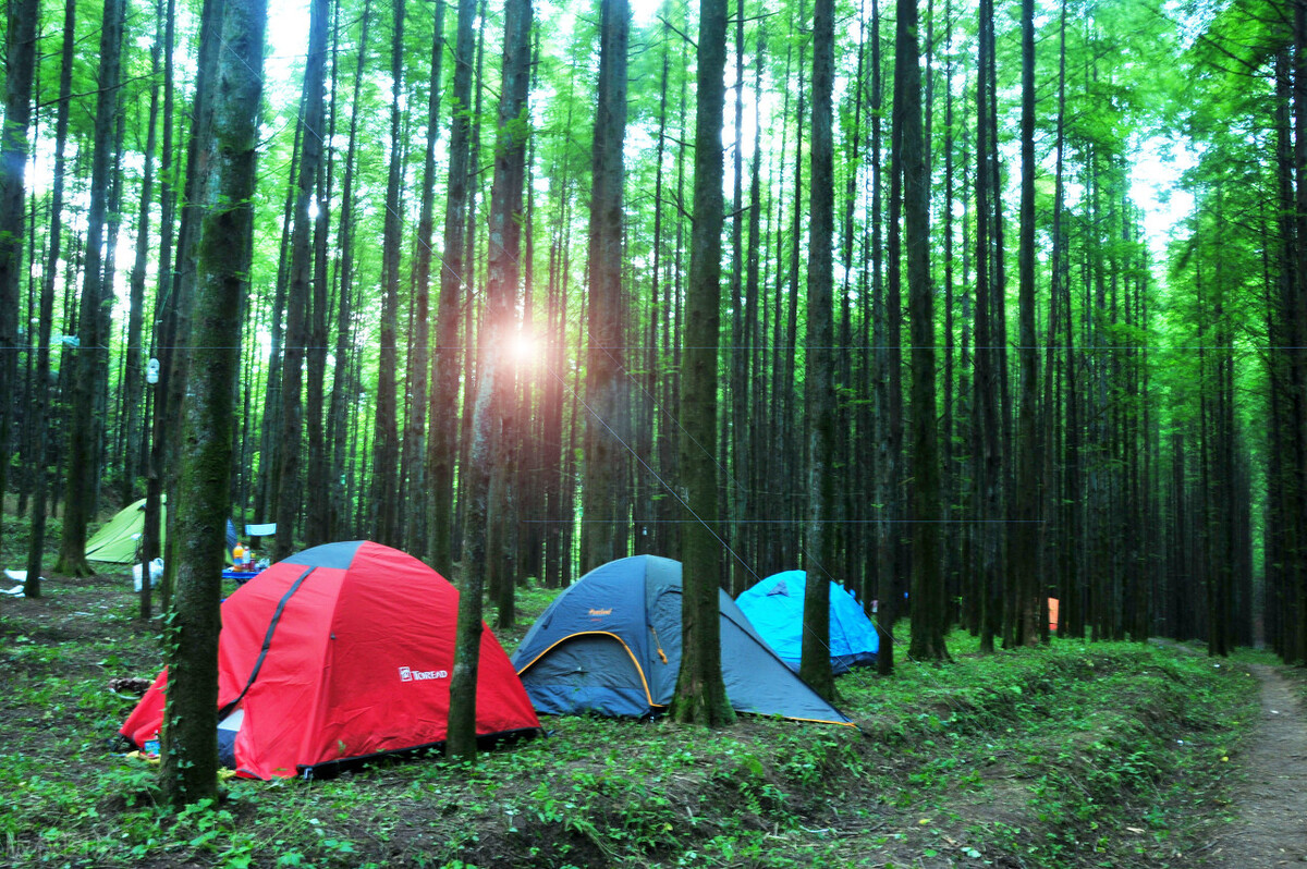 重庆适合亲子游2天一晚避暑,重庆周边的四川避暑胜地有哪些