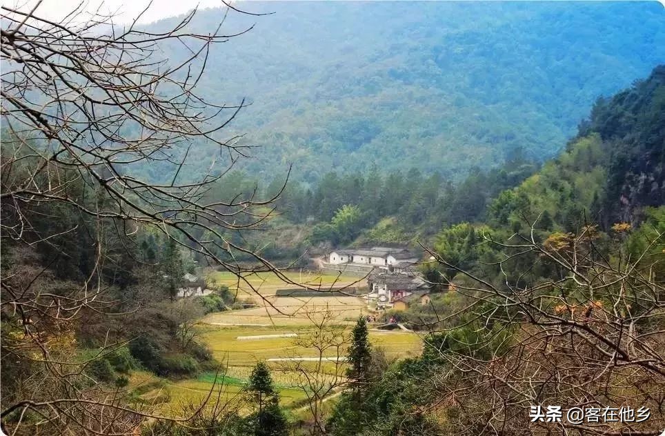 本港台播放过的动画,本港台曾经推出的纪录片