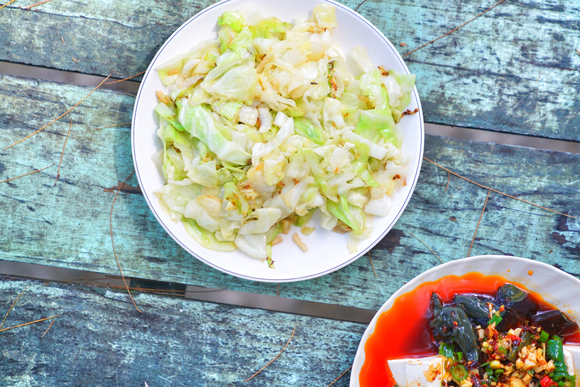 一定是特别的缘分——帕劳，再遇见「周若雪Patty」·上