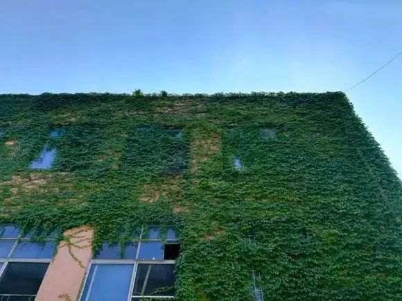 广东高职高考看院校,广州番禺高职高考有什么专业