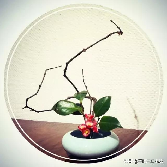 100个最有文化内涵的汉字,50个最美汉字50种文化含义