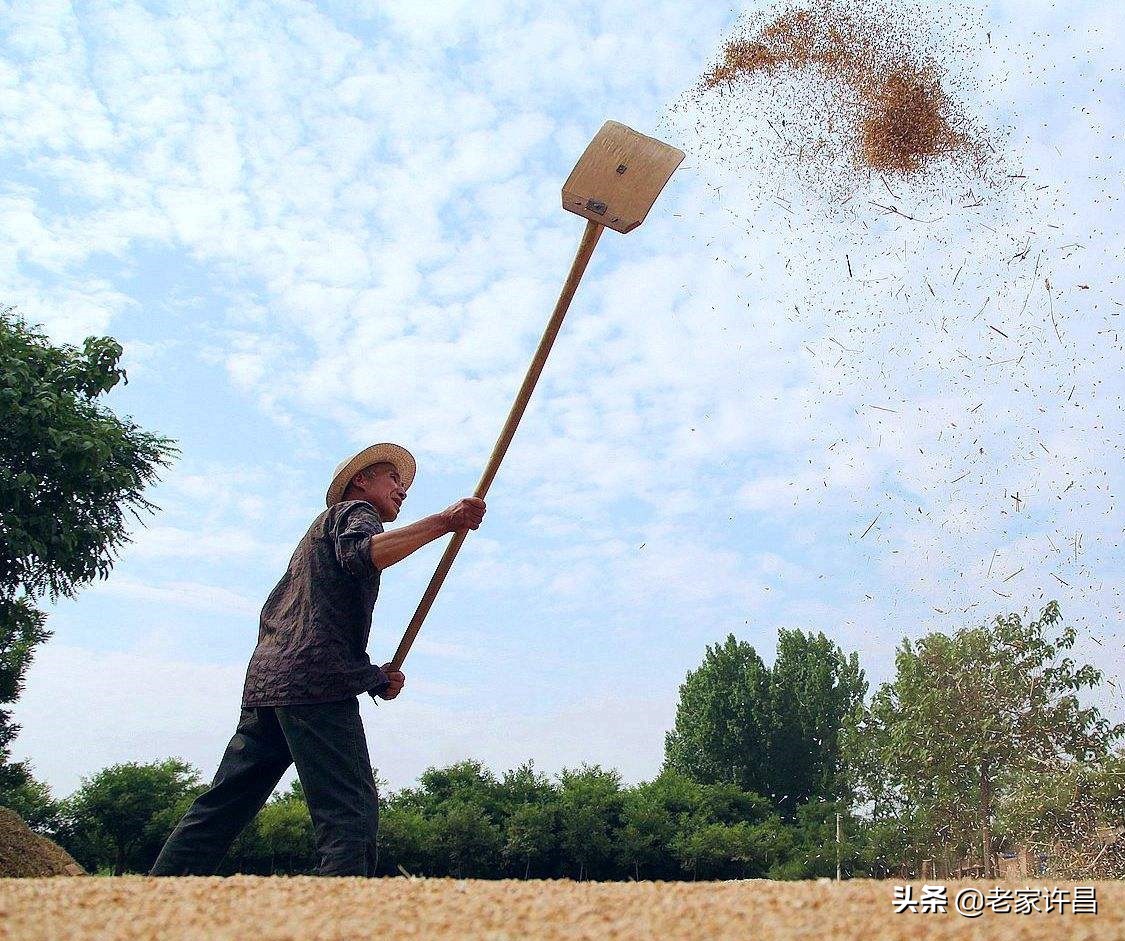 已失传的绝活有哪些,那些快要失传的非遗绝技