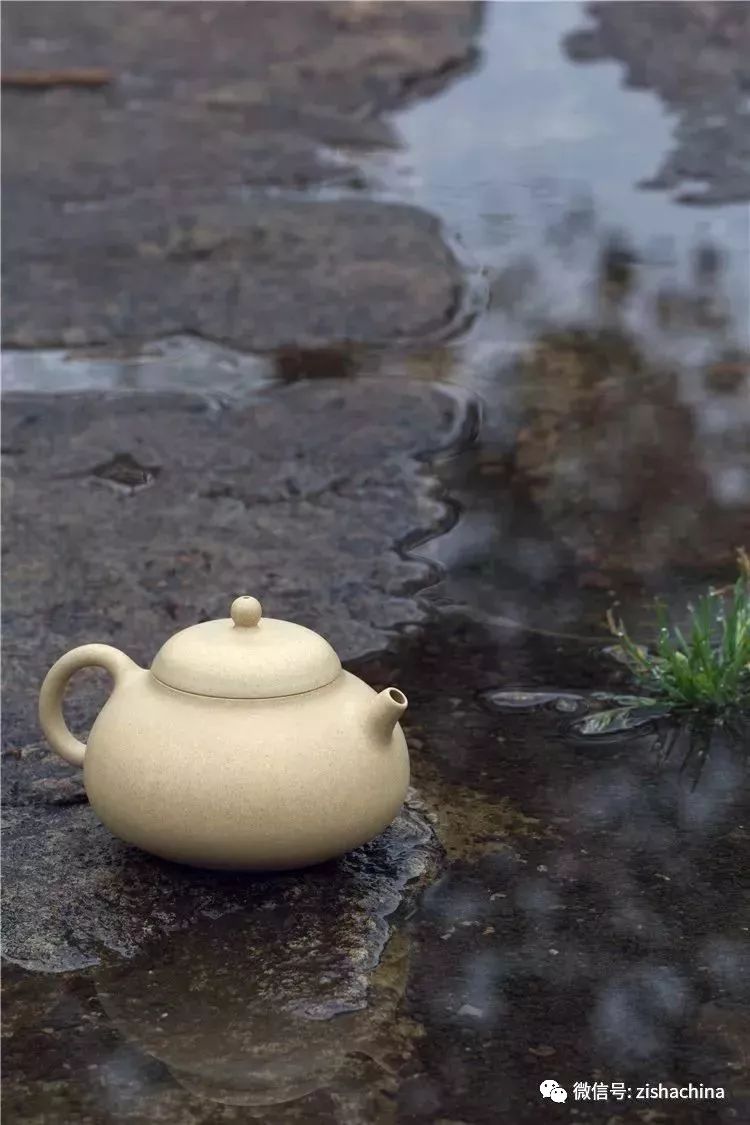 同卵双胞胎是同性还是异性,同卵双胞胎的dna一样吗