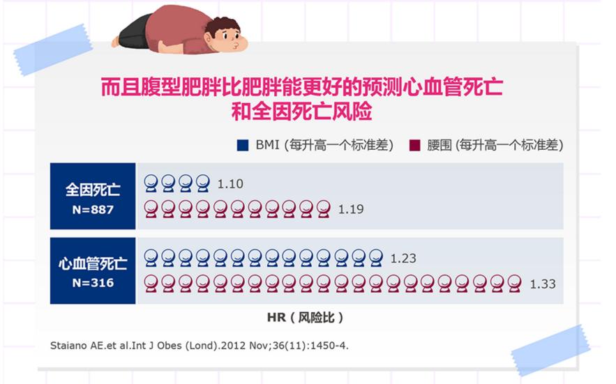 肥胖与腹型肥胖的健康指导,胖纸的优势