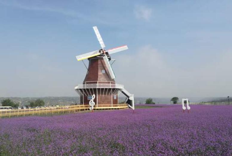 庆阳最新高铁规划,庆阳有几个县有高铁