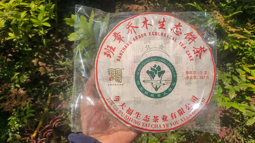 今大福班章大白菜评测,班章大白菜2021怎么样