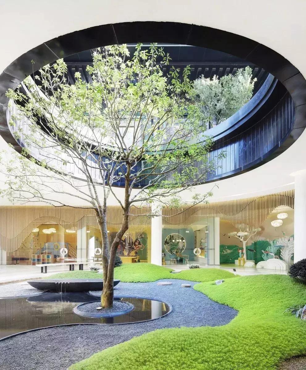 当景观遇上设计,当景观植物遇见灯光