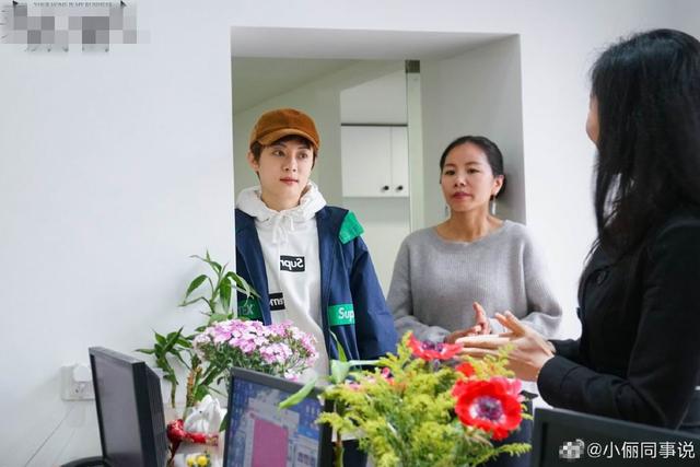 孙俪中介卖房,孙俪在房产中介实习