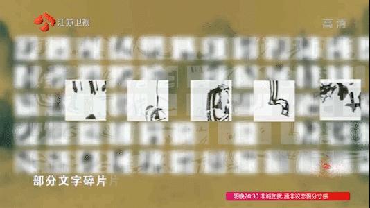 人们对张海书法如何评价,最强大脑张卓豪被淘汰